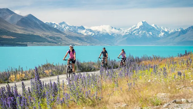 Liburan musim semi ke New Zealand