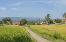 Kampung di Sumedang Ini Idaman Banget, Dikelilingi Sawah dan Punya Mata Air Jernih