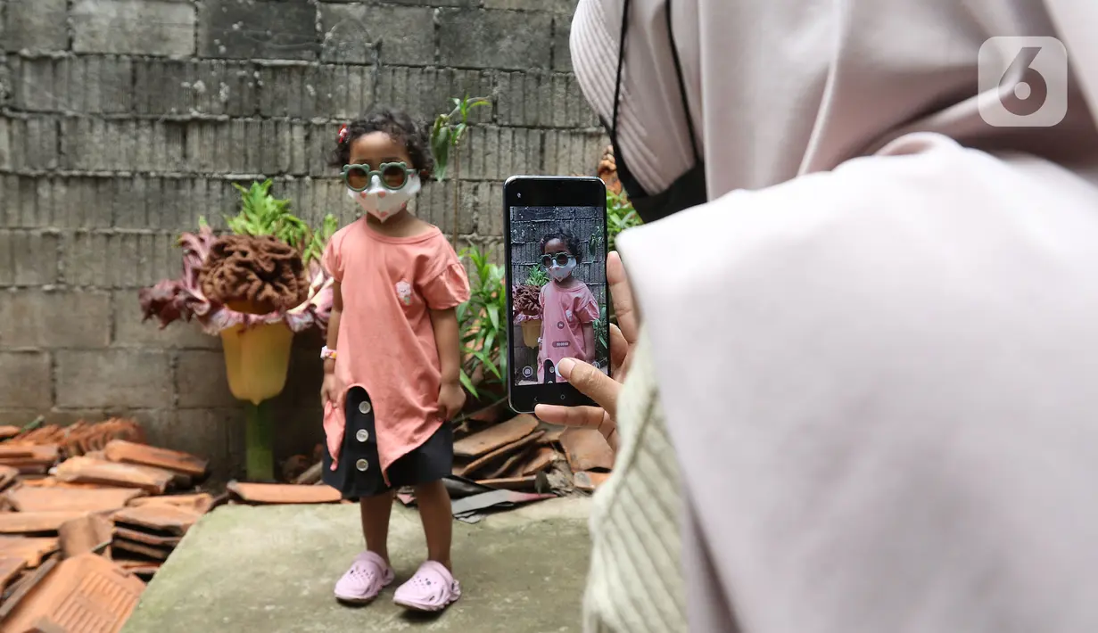 Seorang anak berfoto dengan tanaman yang diduga jenis bunga bangkai di kawasan Cipete, Jakarta, Rabu (13/10/2021). Bunga yang tumbuh di pekarangan rumah warga itu mengeluarkan bau menyengat dan menjadi pusat perhatian warga sekitar. (Liputan6.com/Hermann Zakharia)