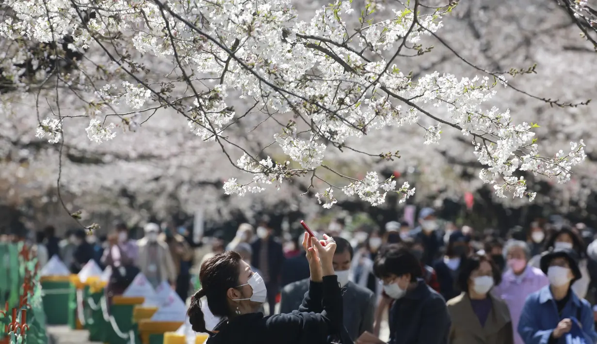 Orang-orang yang memakai masker berjalan di bawah bunga sakura di Tokyo, Selasa (23/3/2021). Keadaan darurat virus Covid-19 di Tokyo dan tiga provinsi sekitarnya resmi dicabut pada akhir hari Minggu, 21 Maret 2021. (AP Photo/Koji Sasahara)