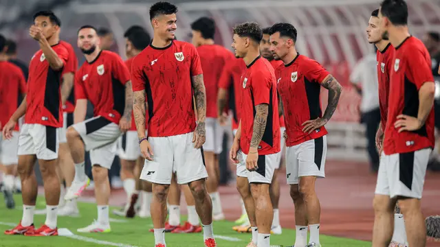 Timnas Indonesia, Mees Hilgers