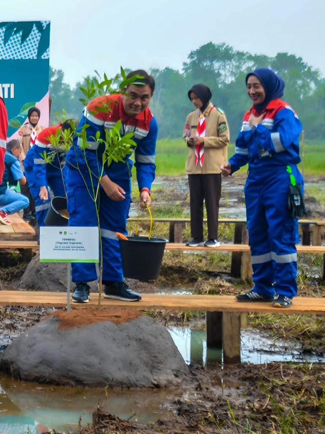 Taman Kehati Pertama di Lahan Rawa, Bakal Meluas Hingga 20 Ha