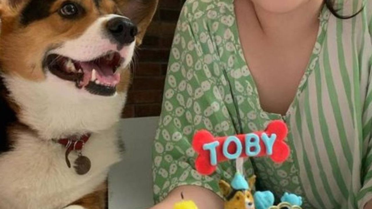 Mikha memiliki seorang anjing yang diberi nama Toby.