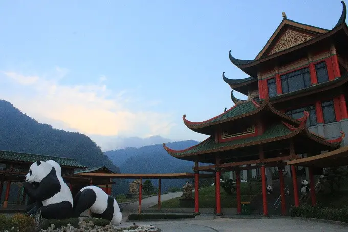 Rumah baru Giant Panda ini dibangun diatas lahan yang terletak pada ketinggian 1.446 meter di atas permukaan laut (Dokumentasi/Kementerian Lingkungan Hidup dan Kehutanan RI) 