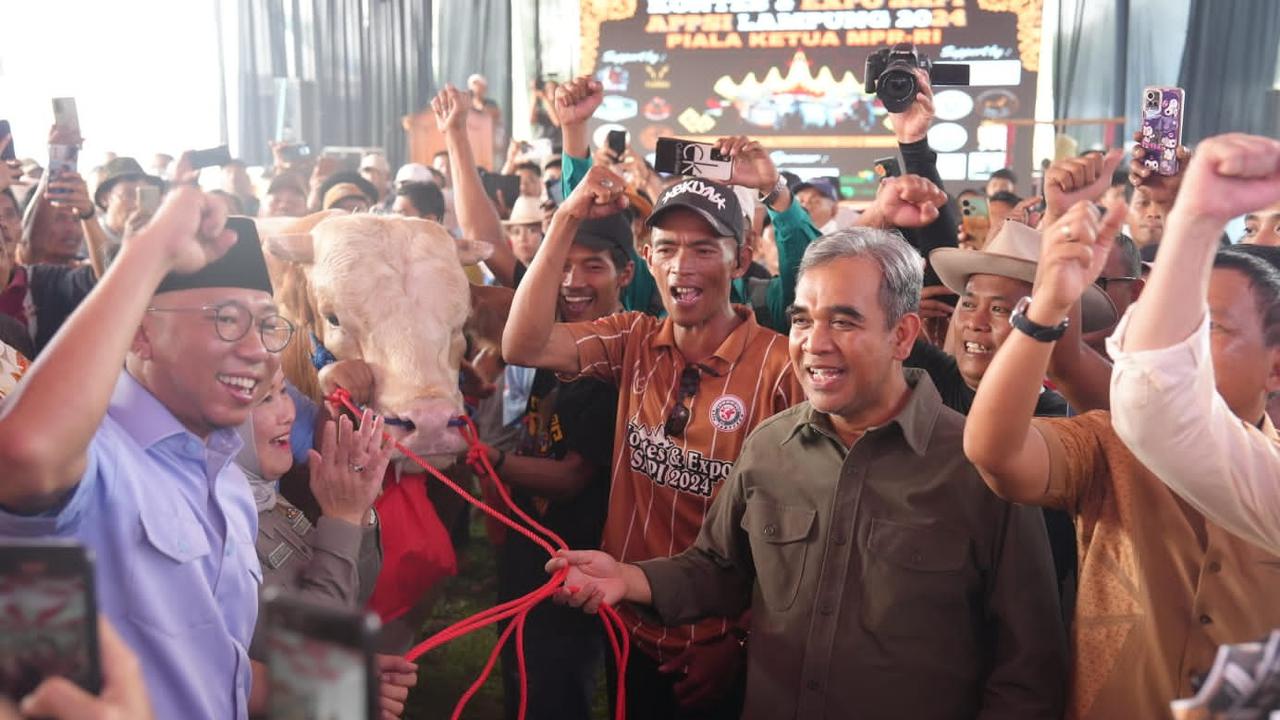 Ketua MPR RI yang juga Sekjen Partai Gerindra, Ahmad Muzani, melelang sapi Limosin dengan berat 1 ton lebih (Istimewa)