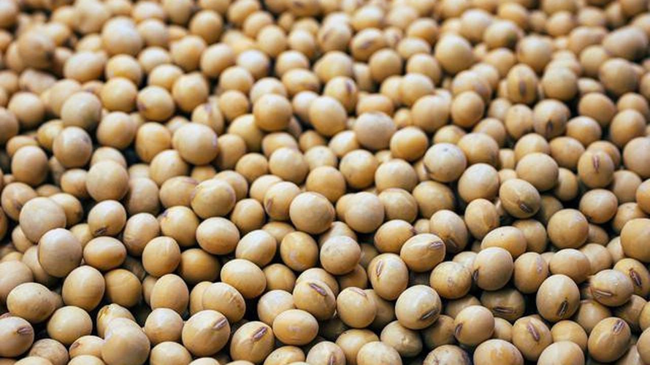 Sayuran Tinggi Purin untuk Penderita Asam Urat, Ini Daftarnya yang Harus Dihindari