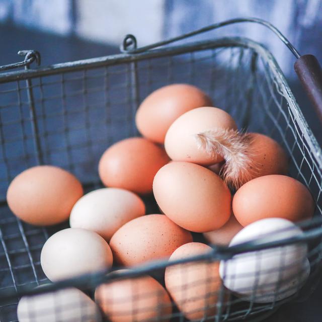 Bocah Ini Coba Menetaskan Telur Dari Supermarket Hasilnya Mengejutkan Citizen6 Liputan6 Com
