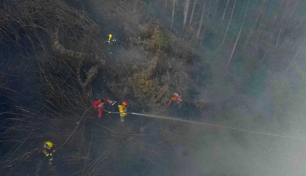 Dalam foto udara ini, para petugas pemadam kebakaran memadamkan kebakaran hutan di Nemocon, Kolombia, pada tanggal 24 Januari 2024. (Luis ACOSTA/AFP)