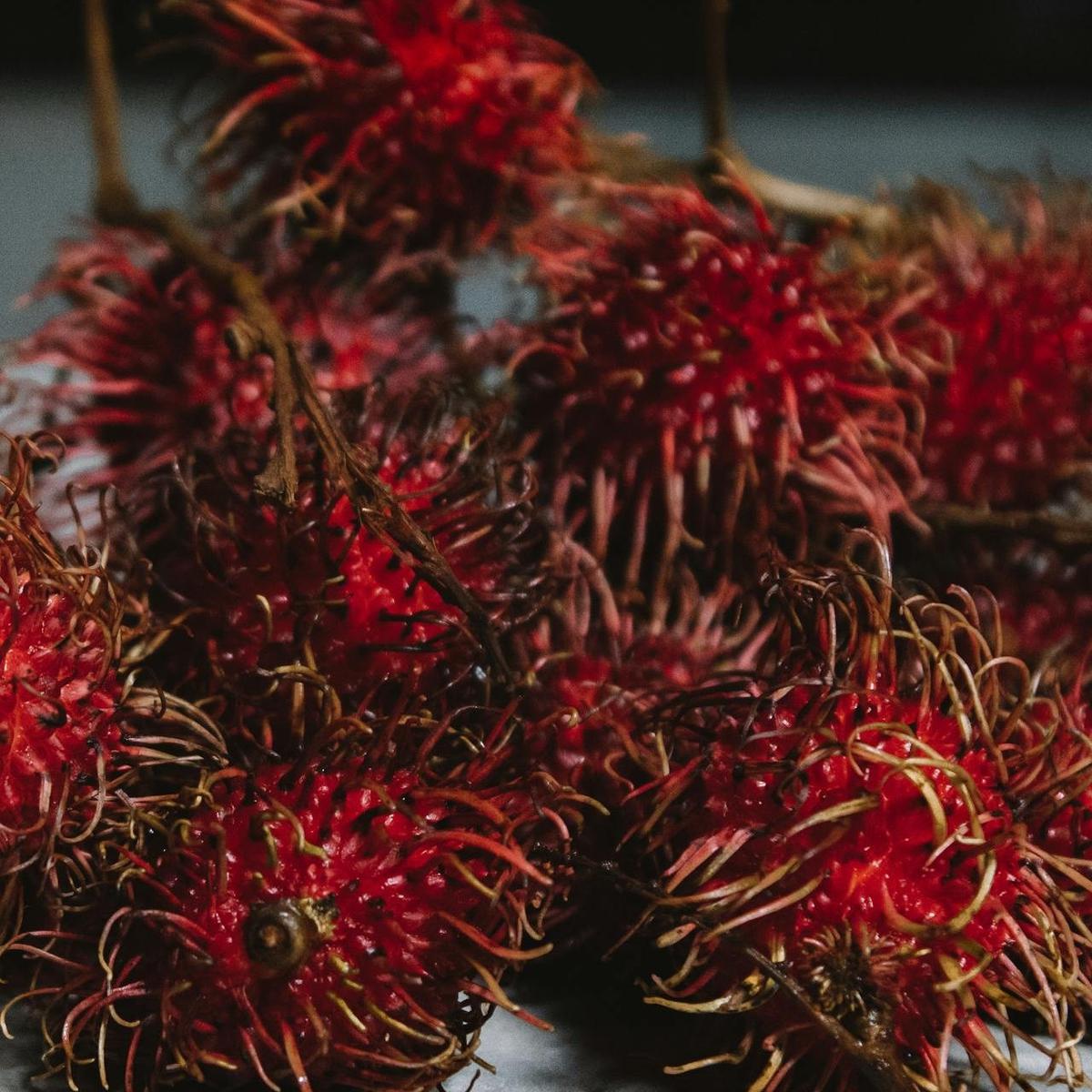 Ilustrasi Rambutan