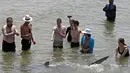 Orang-orang dengan ponsel merekam hiu yang berenang melewati perairan Laut Mediterania yang dangkal di lepas pantai kota Hadera di utara Tel Aviv, Israel, Selasa (20/4/2021). Lusinan hiu pasir yang dapat tumbuh hingga tiga meter itu mendadak berkumpul di lepas pantai Israel utara. (JACK GUEZ/AFP)