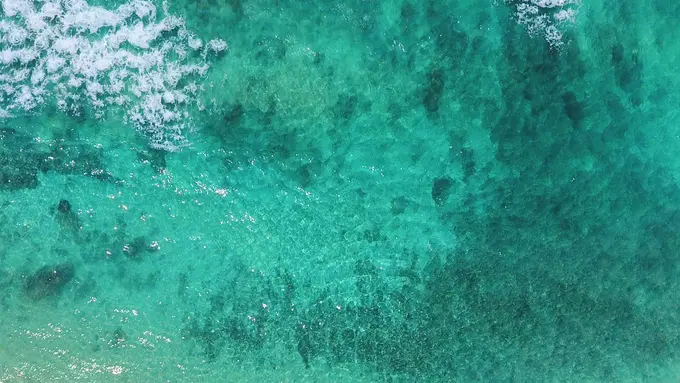 [Bintang] Nusa Tenggara