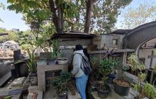 Berbagi Tempat di Antara Nisan