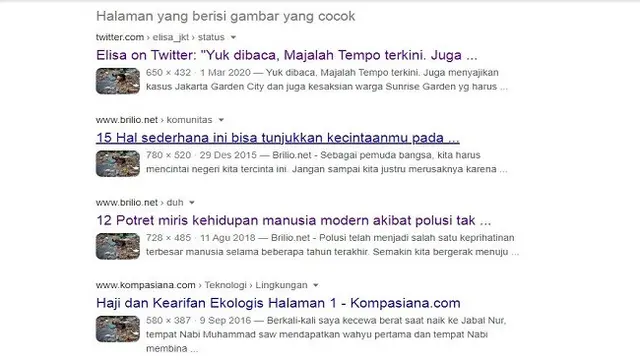 Gambar Tangkapan Layar Penelusuran Foto dengan Google Reverse Image.