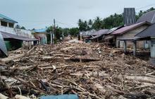 Ini Penyebab Banjir dan Longsor di Sumatera Versi Greenpeace