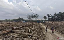 Penyintas Bencana Babo Aceh Tamiang Beralih Profesi Jadi Buruh Kayu Pasca-Banjir