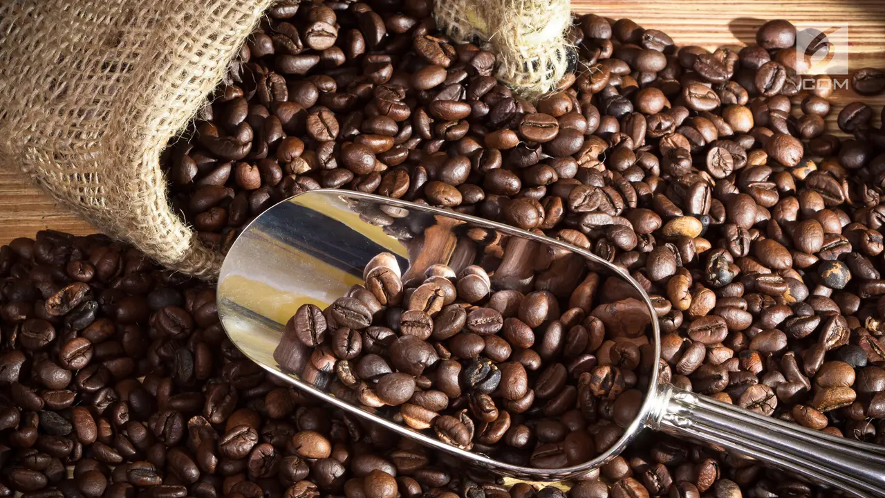 Biji Kopi