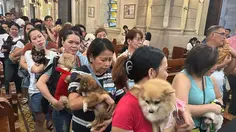 Gereja di Manila Gelar Pemberkatan Hewan Peliharaan, Ada Anjing hingga Siput