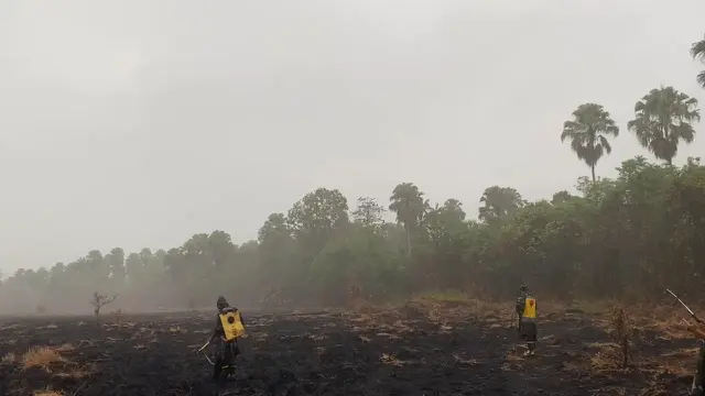 Momen haru mewarnai turunnya hujan di lokasi karhutla Taman Nasional Way Kambas
