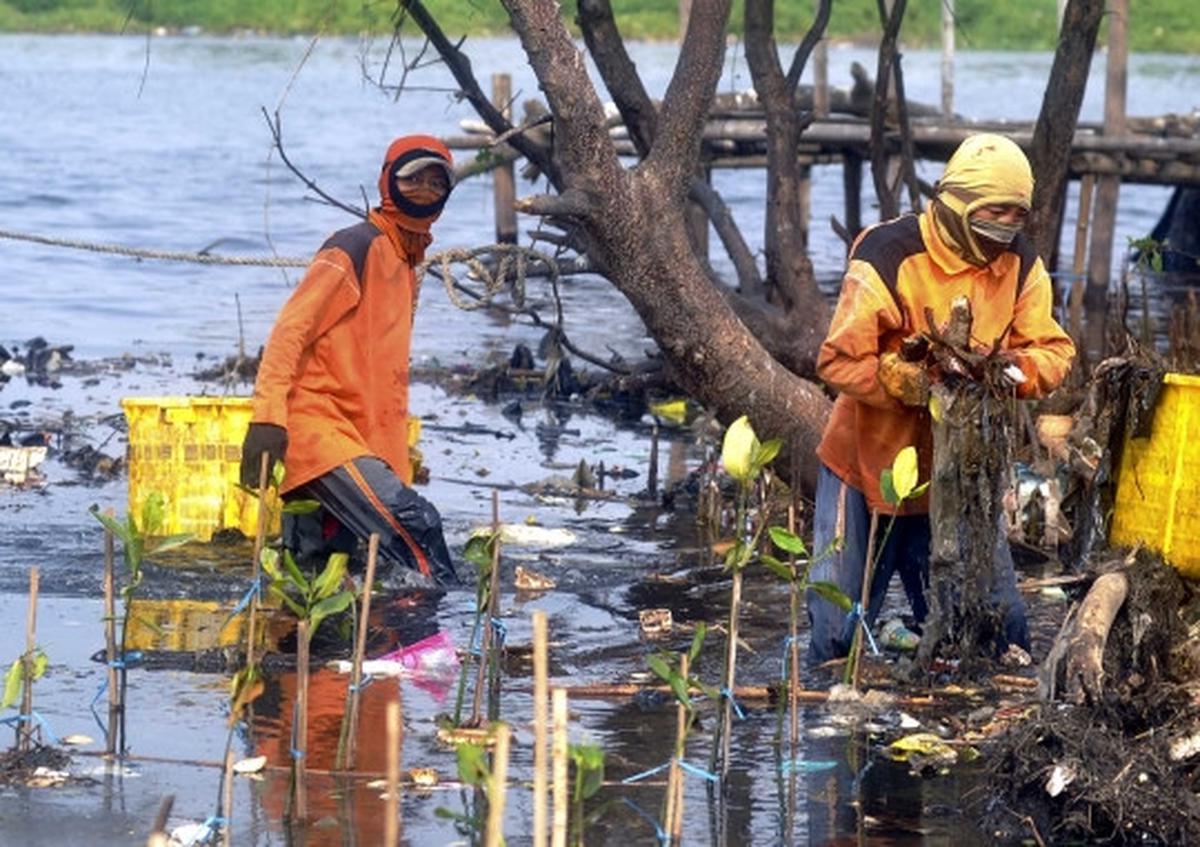 Melihat aksi para penjaga kebersihan pantai