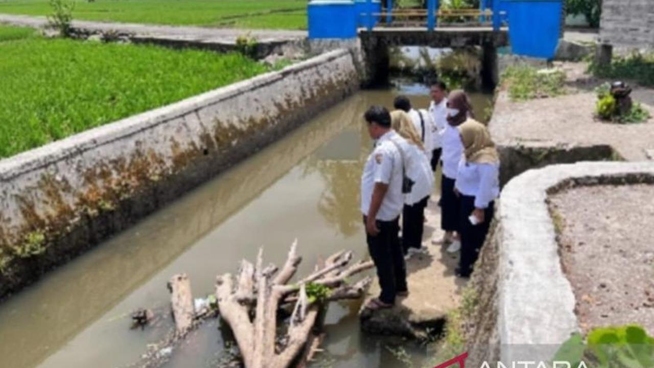 Puluhan Ton Ikan Restocking di Pariaman Hanyut Akibat Banjir, Kerugian Capai Ratusan Juta Rupiah