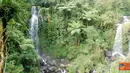 Citizen6, Jawa Tengah: Dinding Air Terjun terdiri dari batuan padat dan pinggirnya ditumbuhi tumbuh-tumbuhan jenis rumput, herba dan semak. (Pengirim: Jarot Wahyudi).