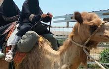 Terbesar di Asia Tenggara, Intip Potret Keseharian Santri di Pondok Pesantren Temboro yang Dijuluki Kampung Madinah Indonesia