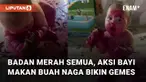 Aksi polos bayi makan buah naga hingga badannya merah semua menarik perhatian