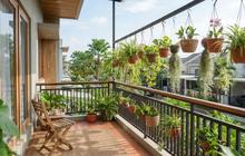 7 Pilihan Tanaman Gantung untuk Balkon Sempit, Cantik dan Mudah Dirawat