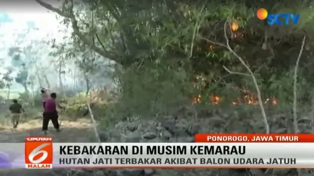 Api membakar belasan hektare hutan jati di Gunung Gamping, Desa Tulung, Kecamatan Sampung, Kabupaten Ponorogo, Jawa Timur.