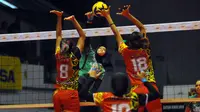 Tim putri Jakarta Elektrik PLN menang atas Batam Sindo BVN  dengan skor telak 3-0 (25-6, 25-7, 25-13) pada lanjutan Proliga 2017. (Bola.com/Fahrizal Arnas)