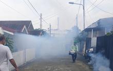 Waspada! Palembang Ingatkan Warga Antisipasi DBD Saat Musim Hujan 2025, Kasus Sudah Capai 500!