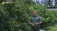 Cerita Prajurit TNI Usai Diamputasi Justru Sukses Jadi Petani. foto: Youtube 'Kementerian Pertanian RI'