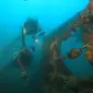 KKP mengabadikan keindahan bawah laut perairan Mandeh di Kabupaten Pesisir Selatan, Sumatera Barat, melalui turnamen fotografi dan videografi bawah laut. (Dok KKP)