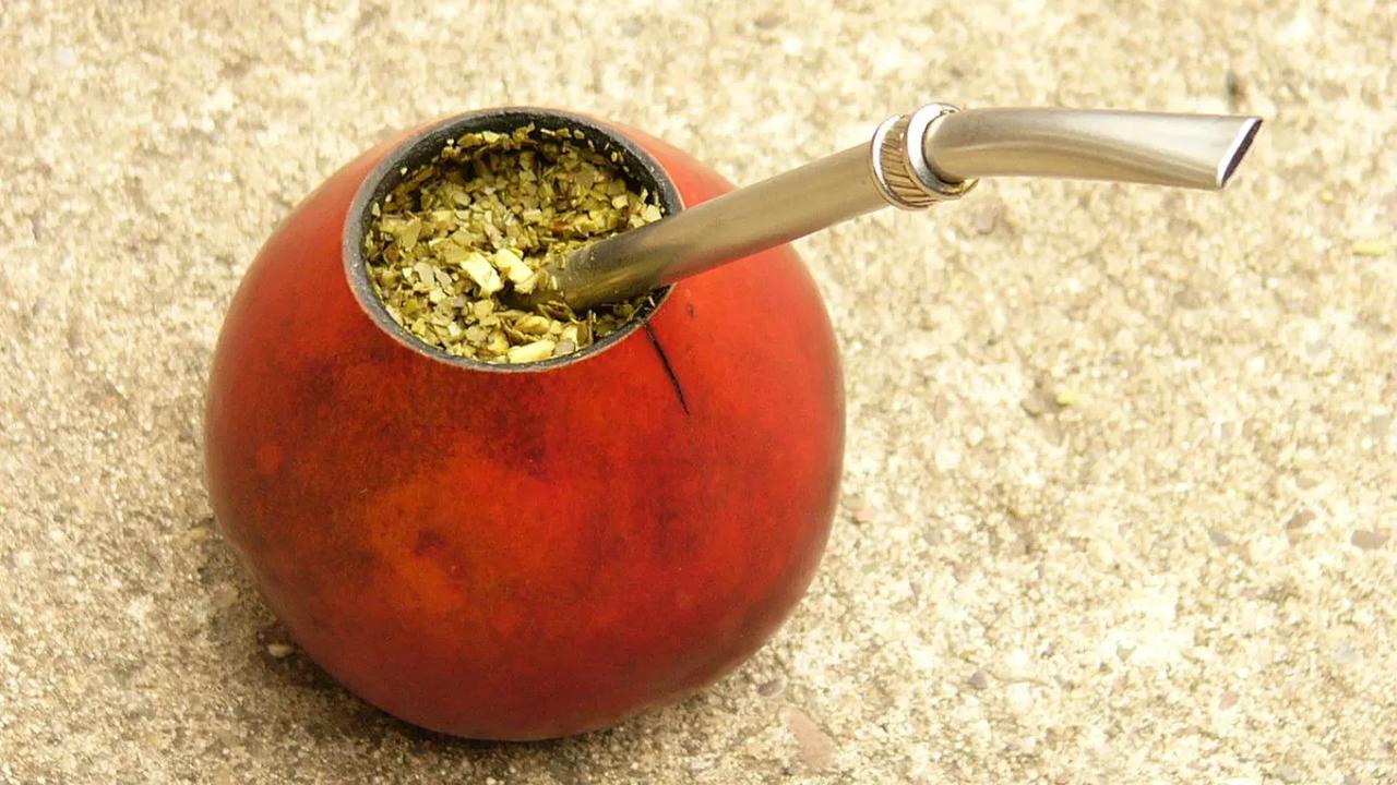 7. Yerba Mate