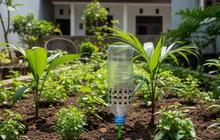 8 Konsep Kebun Ramah Lingkungan dengan Sistem Pengairan Otomatis Menggunakan Botol Bekas