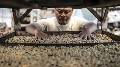 Kadin Indonesia Dorong Ekspor Produk Pertanian dan UMKM ke Jepang, Sasar Pasar Strategis