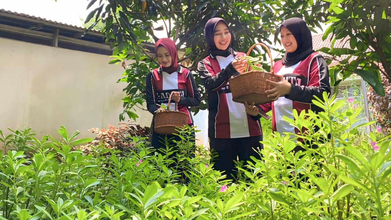 Warga Binaan Lapas Kelas IIA Tangerang Kembangkan Budidaya Ginseng Dukung Ketahanan Pangan Nasional
