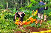 Identitas Mayat Perempuan Tanpa Busana Ditemukan Membusuk di Hutan Jati Subah Terungkap