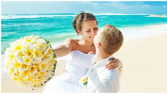 courtesy of shutterstock