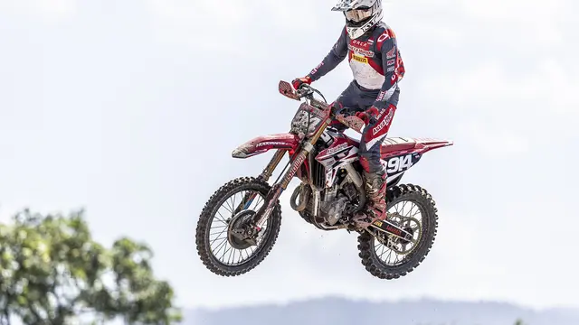 Arsenio Algifari