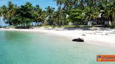 Citizen6, Kalimantan: Pulau Randayan memiliki pasir seluas 4,77 hektar, karang hidup 4,50 hektar, karang mati 3,69 hektar, dan lamun 0,63 hektar. (Pengirim: Devin Lim)