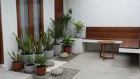 9 Desain Teras Minimalis Tanpa Halaman dengan Kebun Pot, Solusi Hijau di Lahan Terbatas