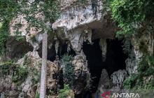 Gua Batu Hapu: Pesona Warisan Geologi Meratus yang Memukau Dunia