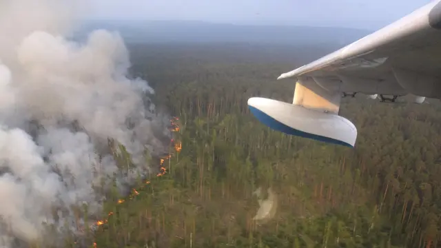 Kebakaran hutan meluas di wilayah Serbia (AP Photo)