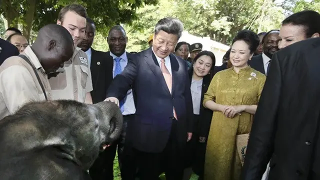 Presiden China Xi Jinping