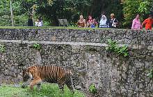 Taman Margasatwa Ragunan Bakal Dipoles, Buka Sampai Malam dan Punya Parkir Tingkat