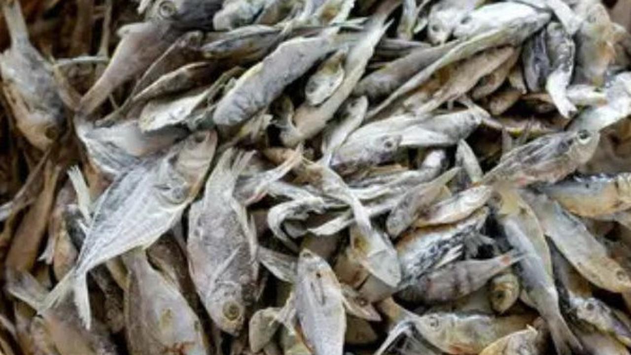 Cara Mudah Kurangi Asin pada Ikan Asin, Dijamin Praktis dan Ampuh