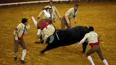 Tim Alcochete Forcados beraksi selama adu banteng di arena adu banteng Campo Pequeno di Lisbon, Portugal (1/10/2015). Forcados masih menggunakan cara tradisional Portugal menangkap banteng tanpa bantuan alat. (REUTERS/Rafael Marchante)