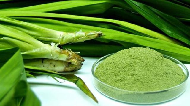 Daun suji