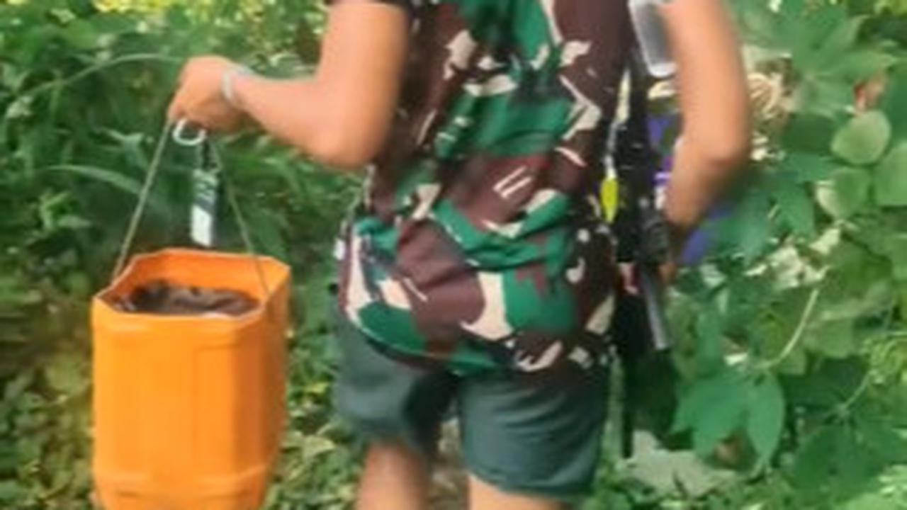 TNI Ini Jalan Kaki di Tengah Hutan Mencari Air Untuk Mandi sambil Waspada Bawa Senjata Laras Panjang